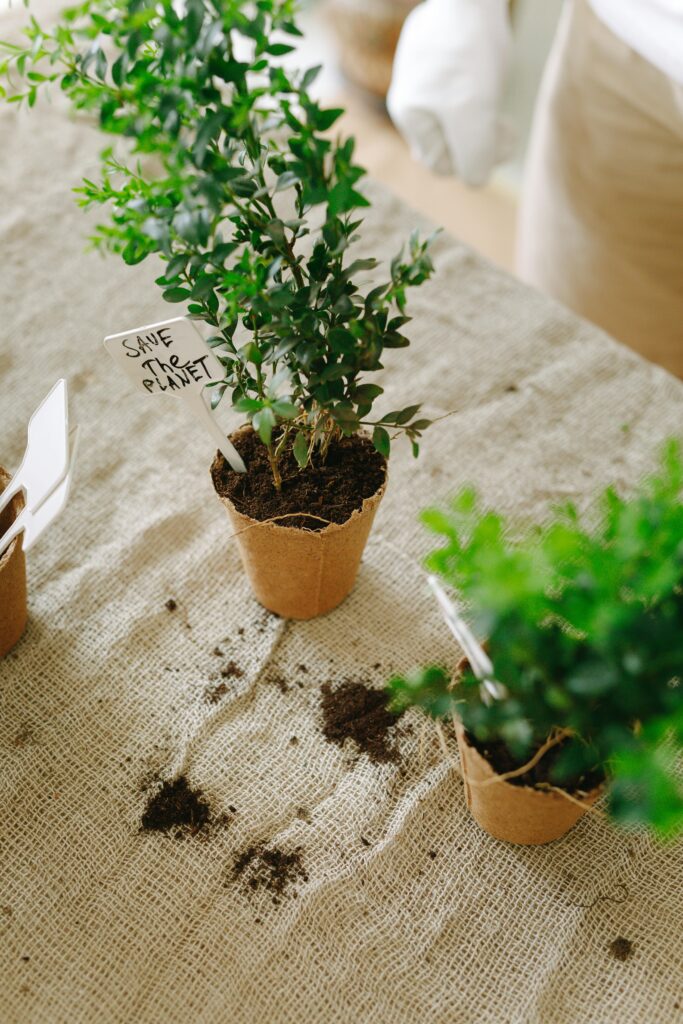 Indoor Garden